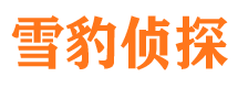 日喀则商务调查